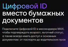Цифровой ID в мессенджере MAX